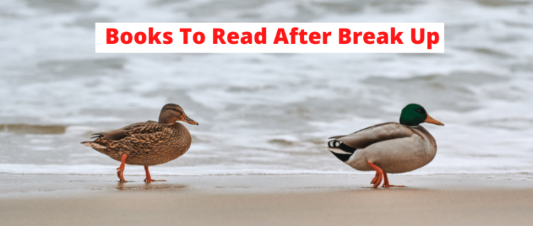 Books To Read After Break Up